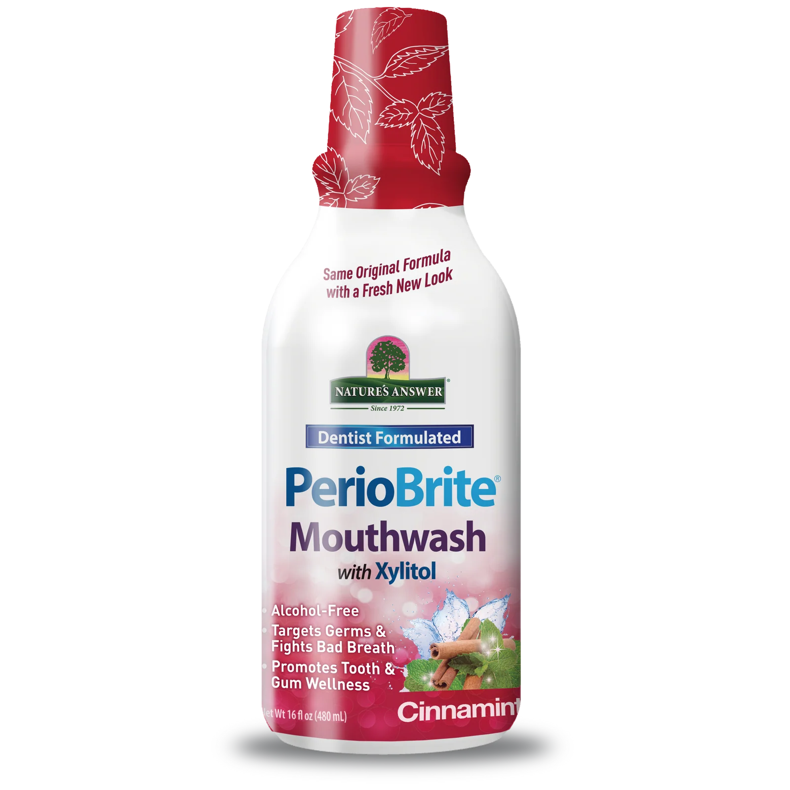 PerioBrite Mouthwash Alcohol-Free Cinnamint