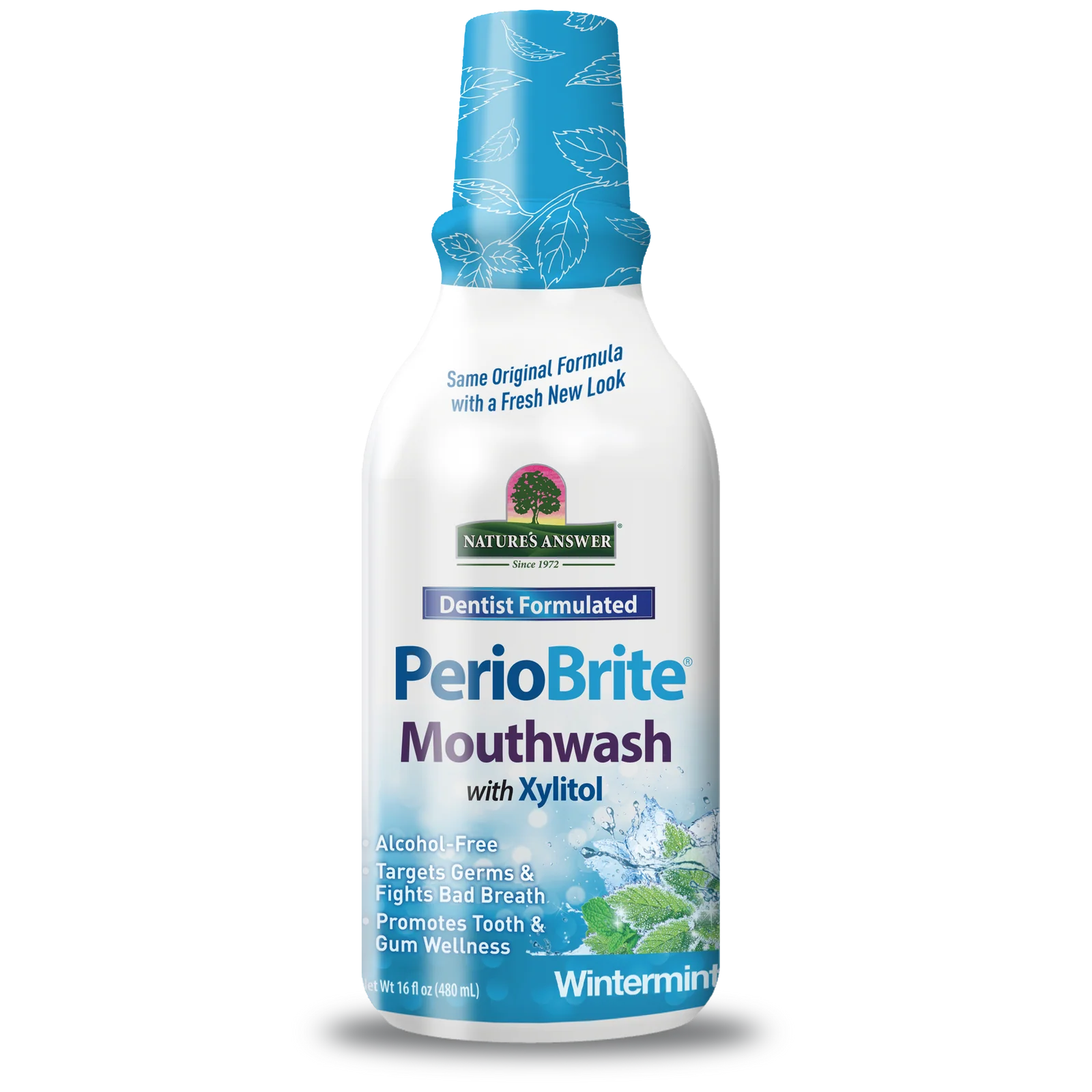 PerioBrite Mouthwash Alcohol Free Wintermint