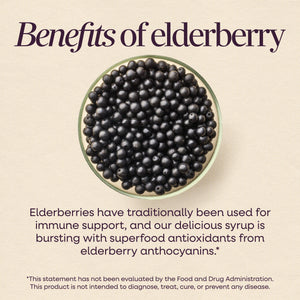 A beige informational graphic titled 'Benefits of elderberry' with a bowl of dark elderberries centered above text describing health benefits and a disclaimer.
