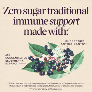 A square product graphic with a beige background and large dark purple text reading 'Zero sugar traditional immune support made with.' A botanical illustration of elderberries with green leaves and dark purple berries appears below, alongside supporting text about concentrated elderberry extract and superfood antioxidants.