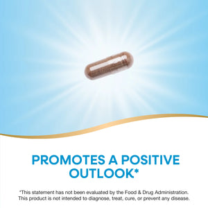 A single brown translucent supplement capsule floating in a bright blue and white graphic layout with the text 'PROMOTES A POSITIVE OUTLOOK*' and a disclaimer below.