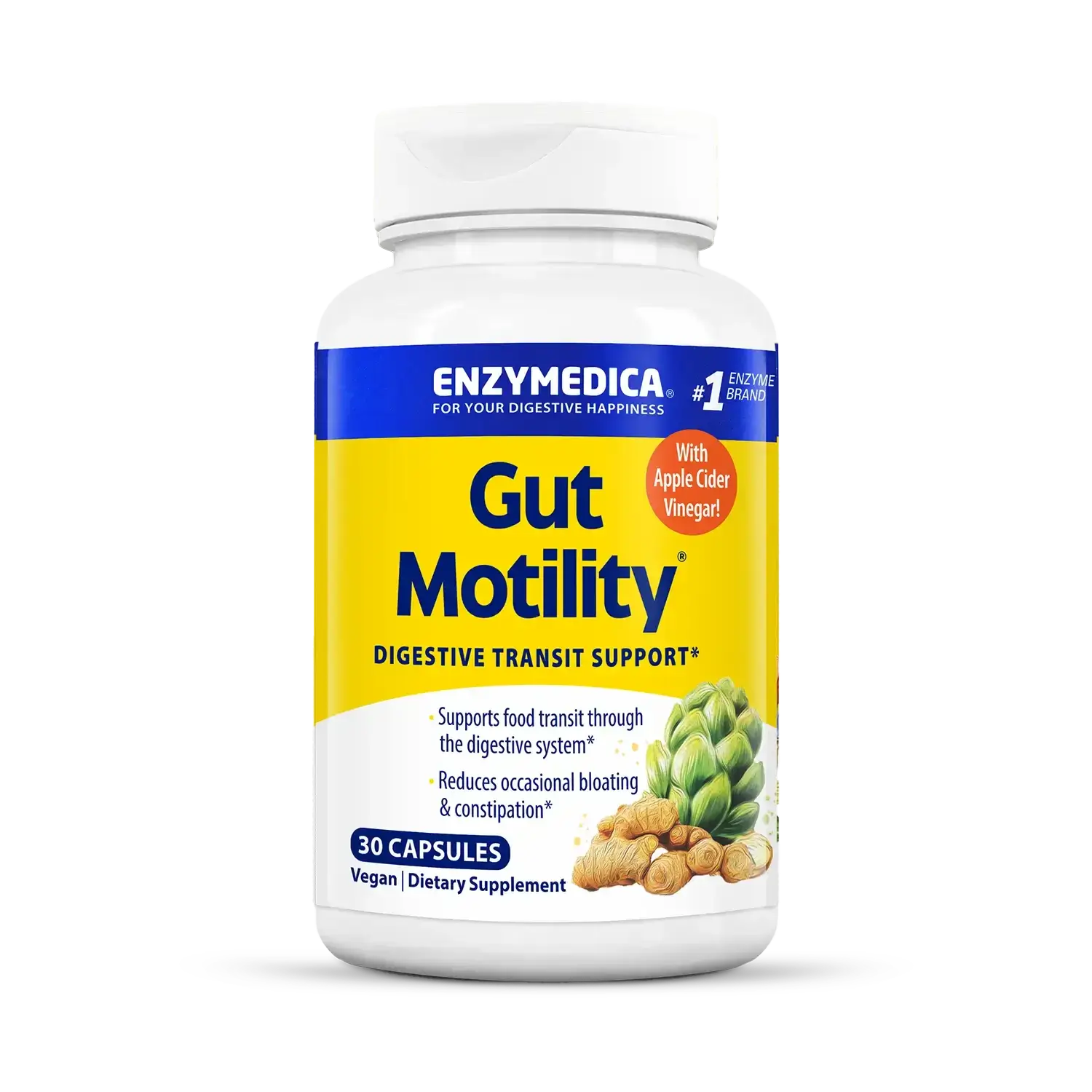 Gut Motility