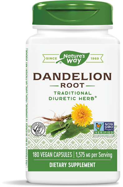 A bottle of Nature's Way Dandelion Root