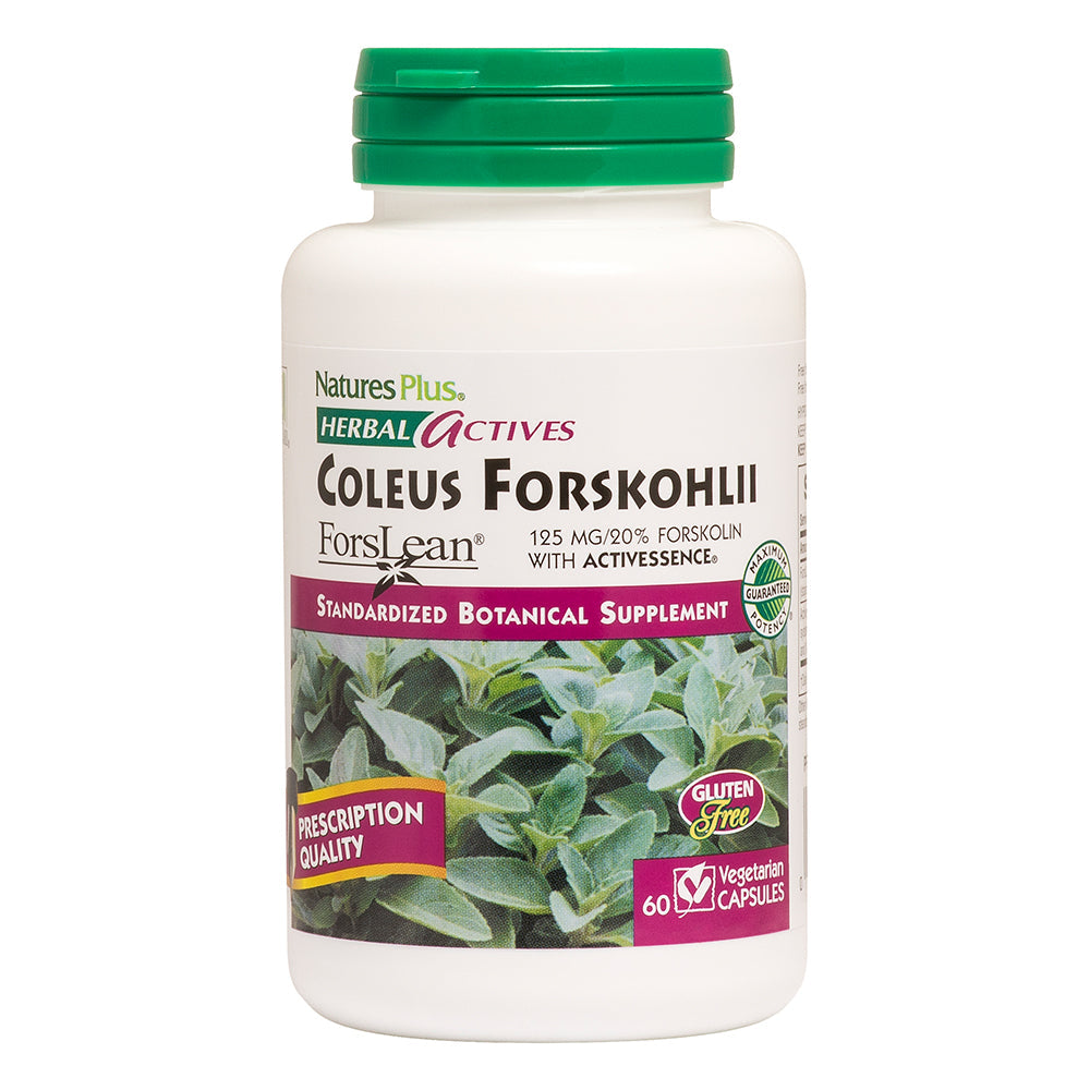 Herbal Actives Coleus Forskohlii - Nature's Plus - 60 capsules