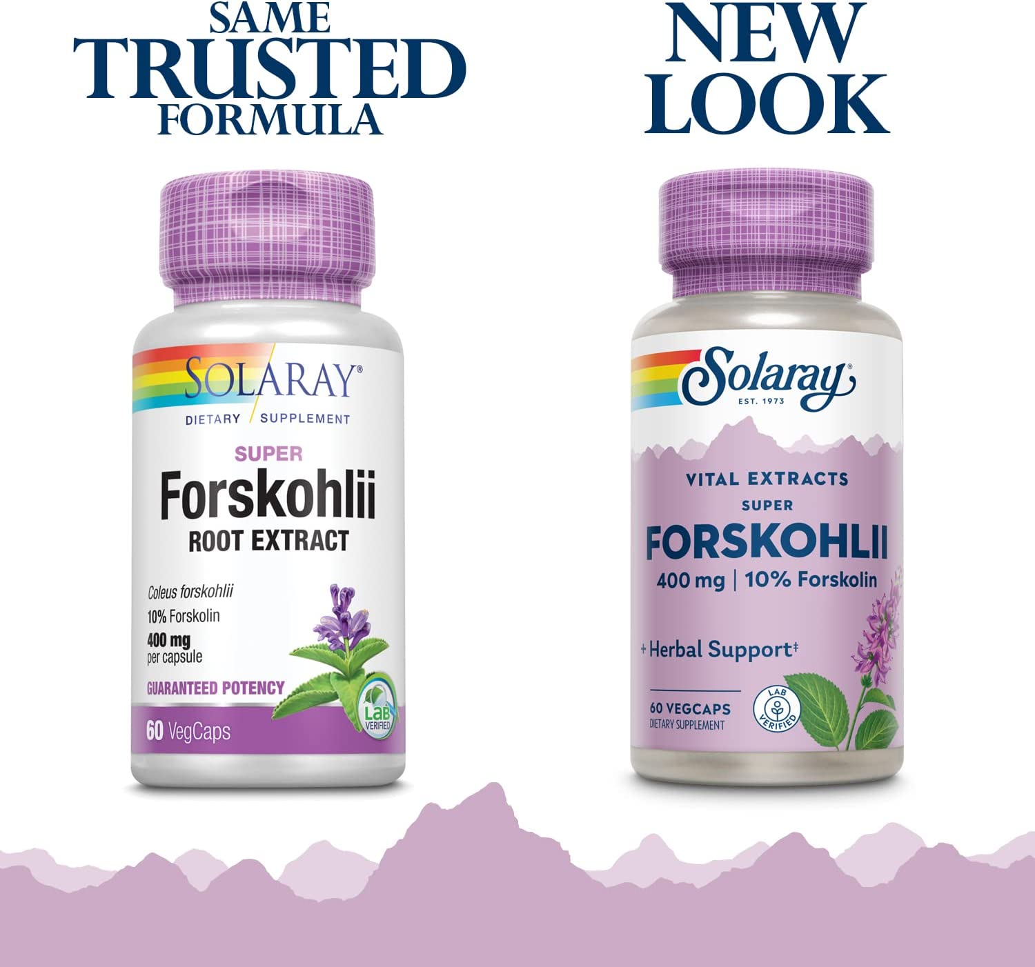 Super Forskohlii Root Exract - Solaray - 60 capsules